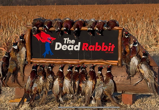 Dead Rabbit Sign Pheasants